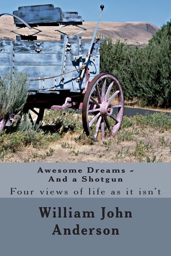 Awesome Dreams - and a Shotgun Four Views Into Life As It Isn't