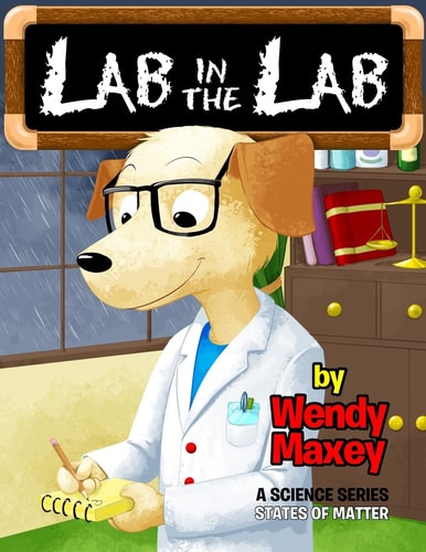 Lab in the Lab States of Matter