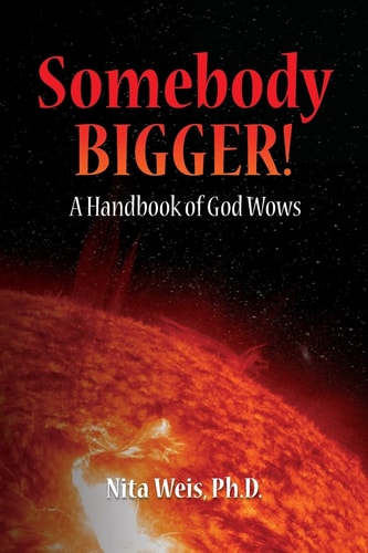 Somebody Bigger A Handbook of God Wows
