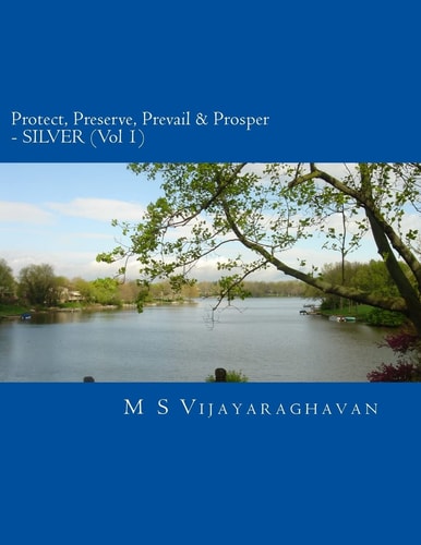 Protect, Preserve, Prevail and Prosper - Vol 1 SILVER Business Protection and Recovery from Disasters