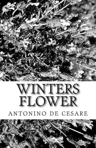 Winters Flower