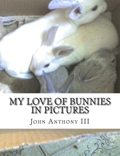 My Love of Bunnies In Pictures