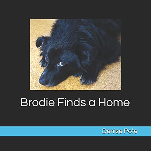 Brodie Finds a Home Book 1