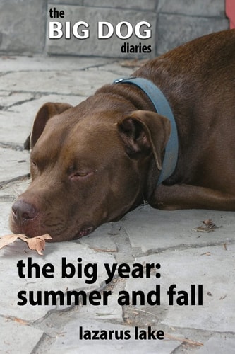 The Big Year - Summer and Fall