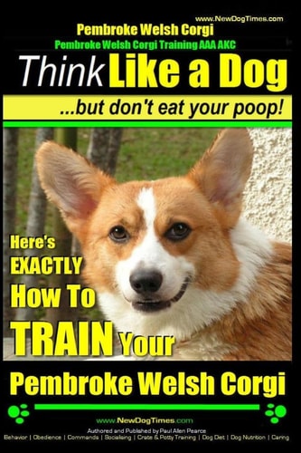Pembroke Welsh Corgi, Pembroke Welsh Corgi Training AAA AKC Think Like a Dog, But Don't Eat Your Poop! - Breed Expert Dog Training: Here's EXACTLY How To TRAIN Your Pembroke Welsh Corgi