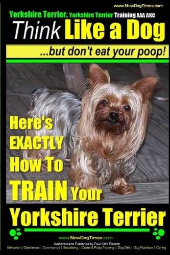 Yorshire Terrier, Yorshire Terrier Training AAA AKC Think Like a Dog, But Don't Eat Your Poop!: Here's EXACTLY How To Train Your Yorshire Terrier