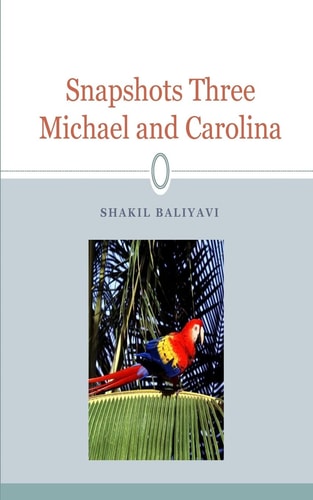 Snapshots Three Fiction