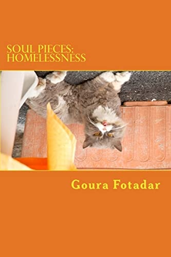 Soul Pieces Homelessness