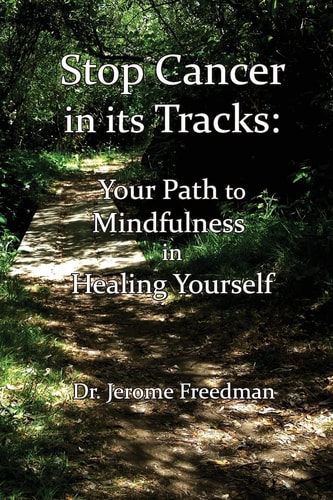 Stop Cancer in Its Tracks Your Path to Mindfulness in Healing Yourself