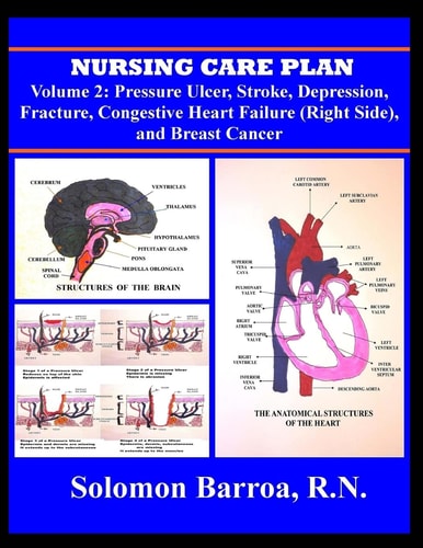 Nursing Care Plan