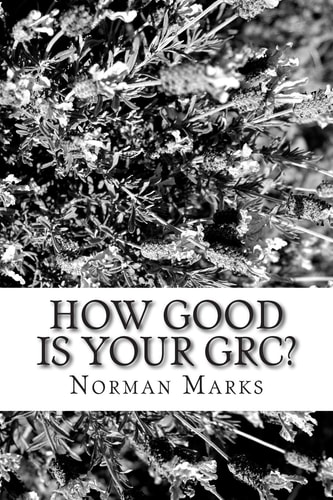 How Good Is Your GRC? Twelve Questions to Guide Executives, Boards, and Practitioners