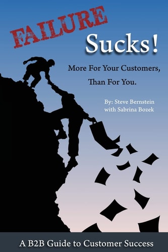 Failure Sucks! More For Your Customers, Than For You.