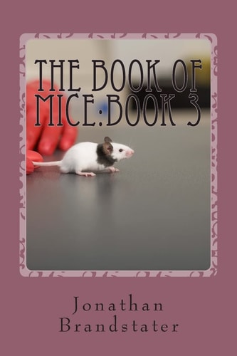 The Book of Mice Book 3: The Punk Rats!