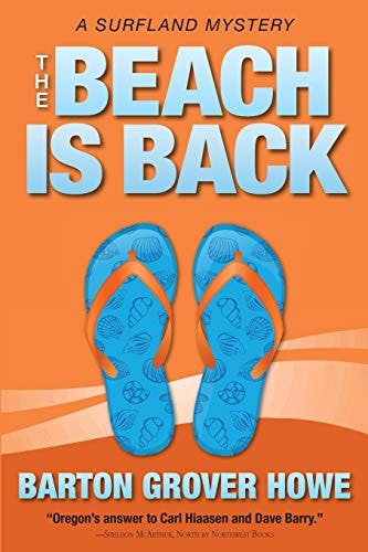 The Beach Is Back A Surfland Mystery