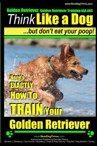 Golden Retriever, Golden Retriever Training AAA AKC Think Like a Dog, But Don' Here's EXACTLY How to TRAIN Your Golden Retriever