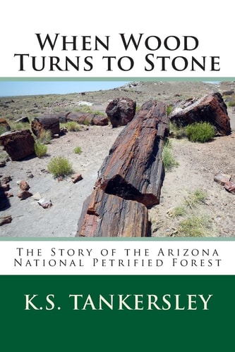 When Wood Turns to Stone The Story of the Arizona National Petrified Forest