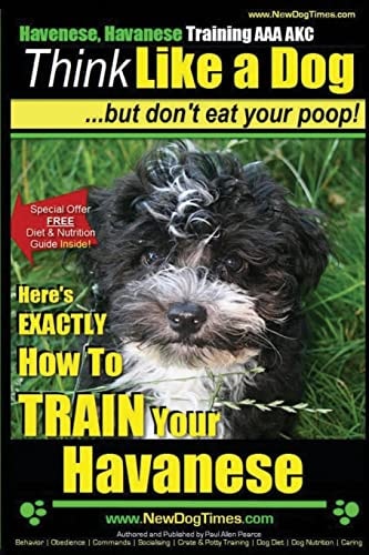 Havanese, Havanese Training AAA AKC Think Like a Dog, But Don't Eat Your Poop! Here's EXACTLY How To TRAIN Your Havanese
