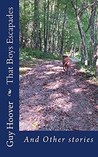 That Boys Escapades And Other Stories