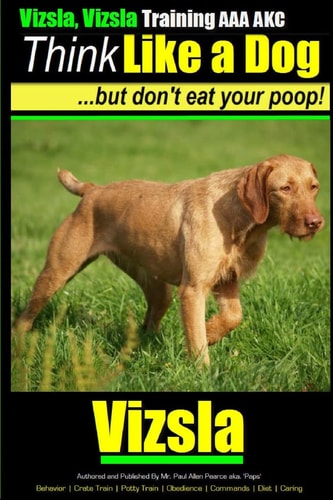 Vizsla, Vizsla Training AAA AKC Think Like a Dog - But Don't Eat Your Poop! Here's EXACTLY How To TRAIN Your Vizsla