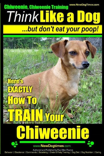 Chiweenie, Chiweenie Training AAA AKC Think Like a Dog...but Don't Eat Your Poop! Chiweenie Breed Expert Dog Training - Here's EXACTLY How To Train Your Chiweenie