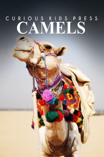 Camels - Curious Kids Press Kids Book about Animals and Wildlife, Children's Books 4-6