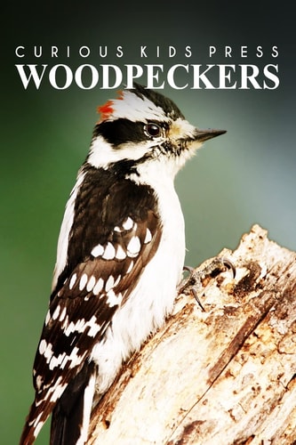 Woodpeckers - Curious Kids Press Kids Book about Animals and Wildlife, Children's Books 4-6