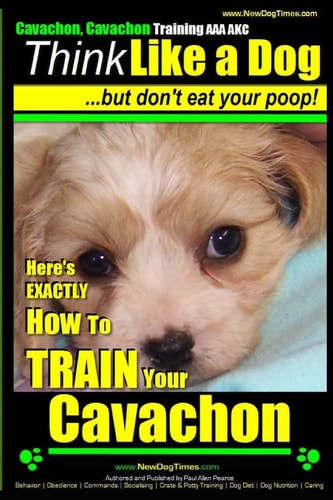 Cavachon, Cavachon Training AAA AKC Think Like a Dog, But Don't Eat Your Poop! Here's EXACTLY How To TRAIN Your Cavachon