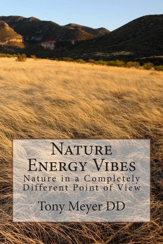 Nature Energy Vibes Nature in a Completely Different Point of View