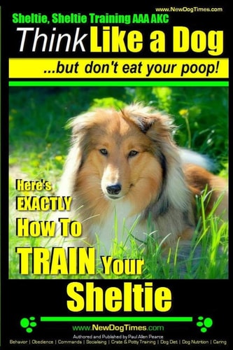 Sheltie, Sheltie Training AAA AKC Think Like a Dog But Don't Eat Your Poop! Here's EXACTLY How To TRAIN Your Sheltie