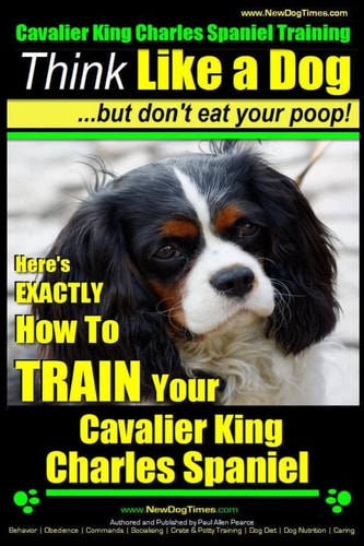 Cavalier King Charles Spaniel Training Think Like a Dog, But Don't Eat Your P Here's EXACTLY How To TRAIN Your Cavalier King Charles Spaniel
