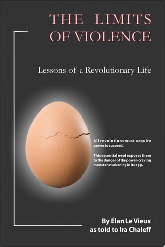 The Limits of Violence Lessons of a Revolutionary Life