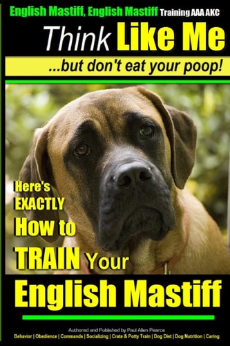 English Mastiff, English Mastiff Training AAA AKC Think Like ME, But Don't Eat Your Poop! Here's EXACTLY How To TRAIN Your English Mastiff