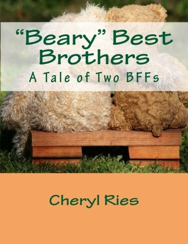 Beary Best Brothers A Tale of Two BFFs