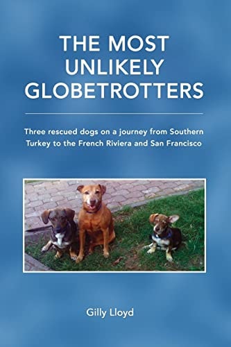 The Most Unlikely Globetrotters Three Rescued Dogs on a Journey from Southern Turkey to the French Riviera and San Francisco