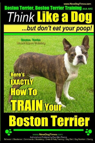 Boston Terrier, Boston Terrier Training AAA AKC: Think Like a Dog, But Don't Eat Your Poop! Boston Terrier Breed Expert Training - Here's EXACTLY How to TRAIN Your Boston Terrier