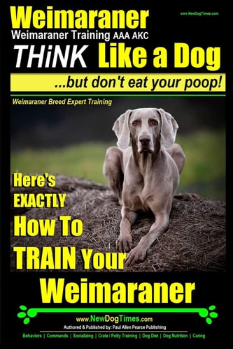 Weimaraner, Weimaraner Training AAA AKC Think Like a Dog, But Don't Eat Your Poop! Weimaraner Breed Expert Training: Here's EXACTLY How To TRAIN Your Weimaraner
