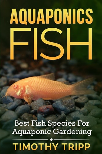 Aquaponics Fish Best Fish Species For Aquaponic Gardening