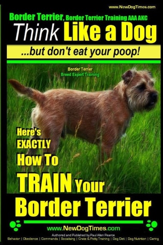 Border Terrier, Border Terrier Training AAA AKC Think Like a Dog But Don't Eat Your Poop! Border Terrier Breed Expert Training: Here's EXACTLY How To TRAIN Your Border Terrier