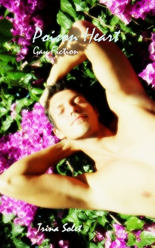 Poison Heart Gay Fiction
