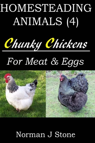 Homesteading Animals (4) Chunky Chickens For Meat And Eggs