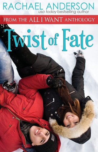 Twist of Fate (a Holiday Romance Novella)