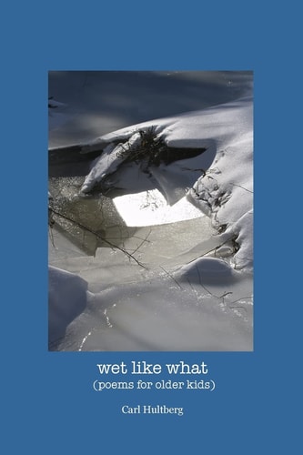 Wet Like What (poems for Older Kids)