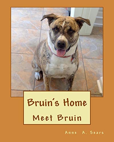 Bruin's Home Meet Bruin