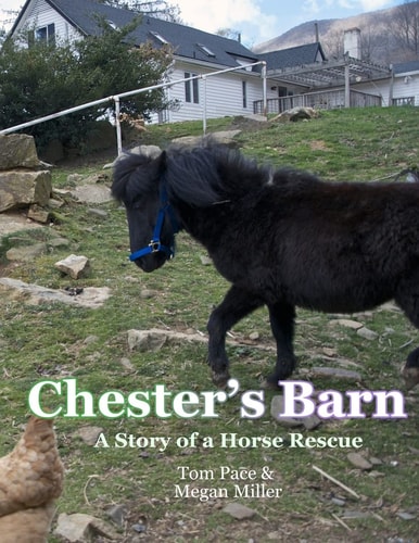 Chester's Barn A Story about a Horse Rescue