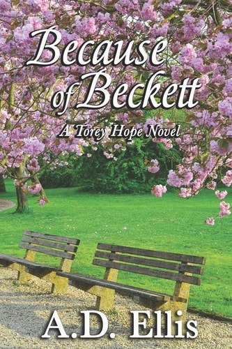 Because of Beckett, a Torey Hope Novel Book 2