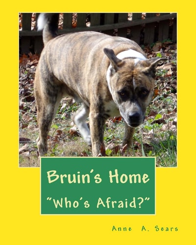 Bruin's Home (Book 1) Adjustments