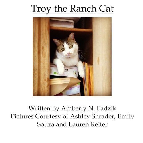Troy The Ranch Cat