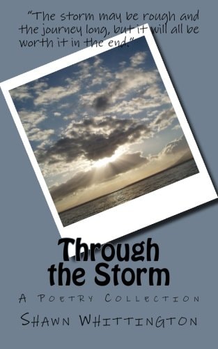 Through the Storm A Poetry Collection