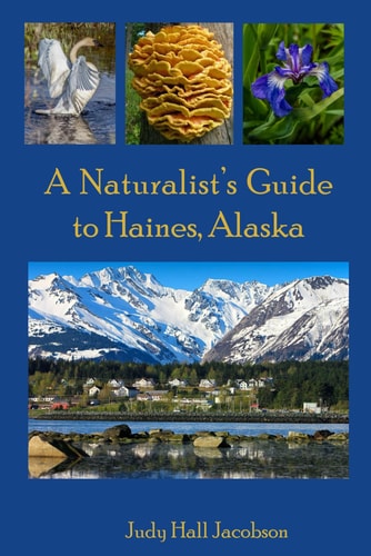 A Naturalist's Guide to Haines, Alaska