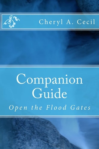 Companion Guide Open the Flood Gates